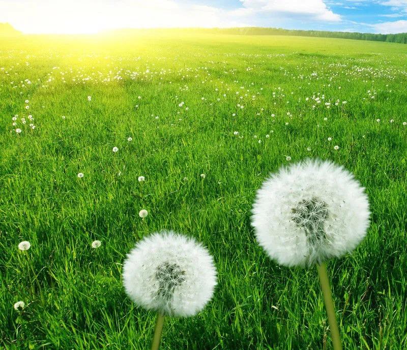 熊磊连发文解释许敏哥哥的录音，还牵连周律师，网友：熊磊快还钱