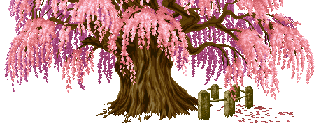 【苦乐年华17】第五章 高中时期第3节：偏科痛失县中选拔考试