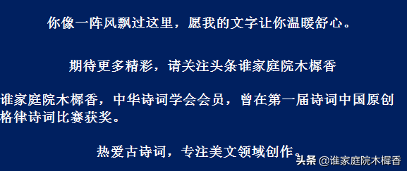 宁可食无肉，不可居无竹。古诗词里的竹子，韵味悠长、翰墨飘香