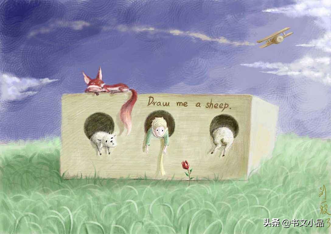 豆瓣9.0《小王子》：与玫瑰的爱情隐喻，是爱与责任的忏悔