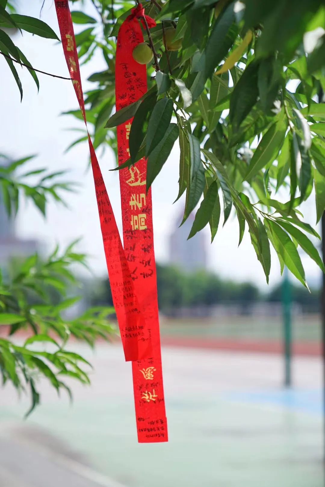 刚刚，第一个高考考生出来了！莆田一中、二中、四中、五中