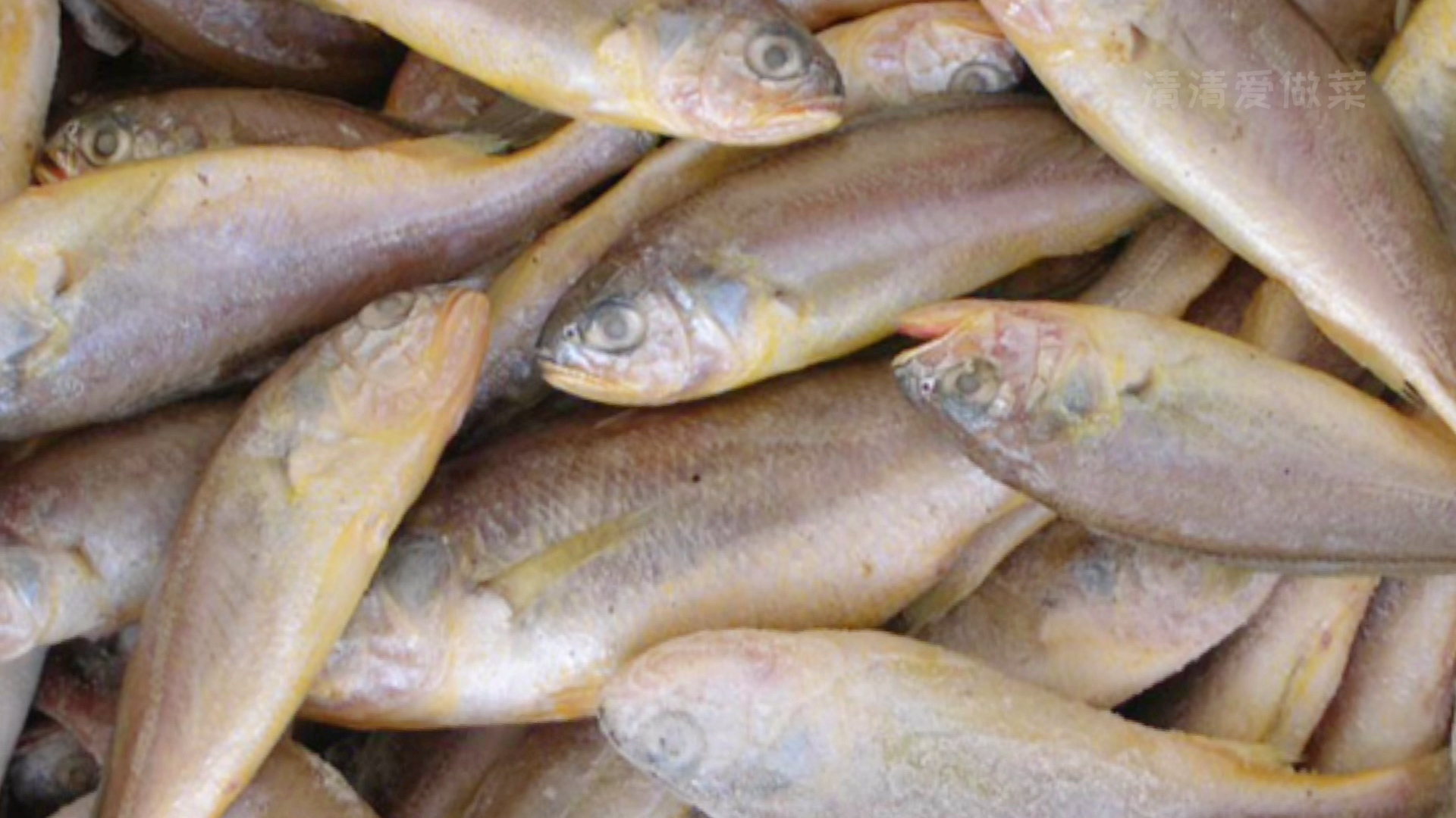 深海鱼有哪些适合孕妇吃的4大深海鱼