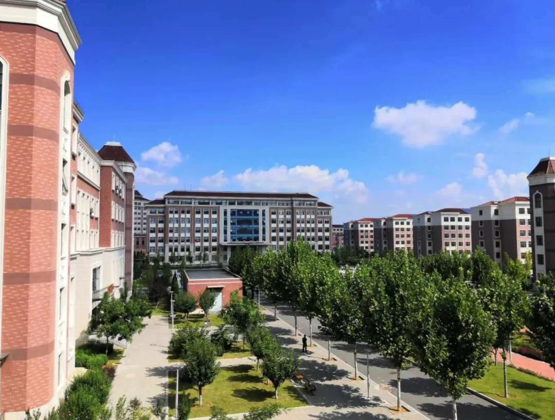 大连大学职业技术学院,大连大学职业技术学院是公办的吗-爱妻自媒体