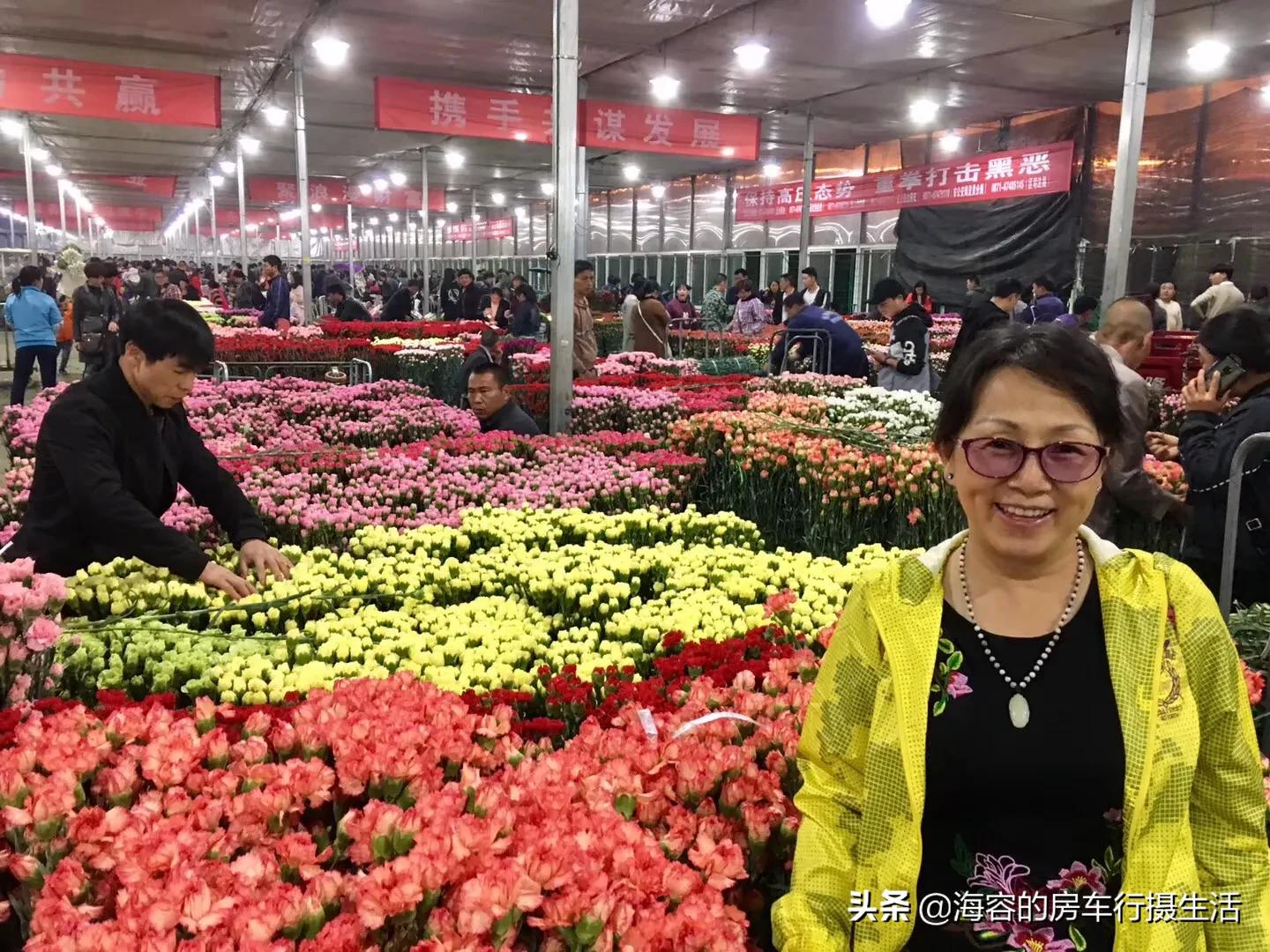 斗南的鲜花，滇池的红嘴鸥，让昆明把四季装进了春天