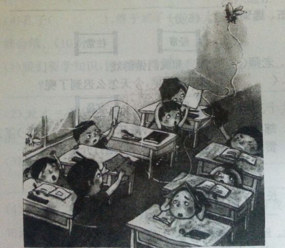 一年级看图写话常用词语、常用句式、练习！收藏