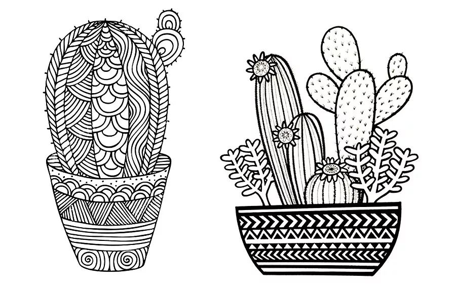 仙人掌怎么画(儿童画教程|线描画仙人掌)