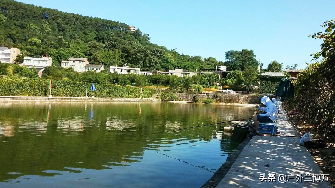 钓好黑坑并不难，掌握这些诀窍就够了