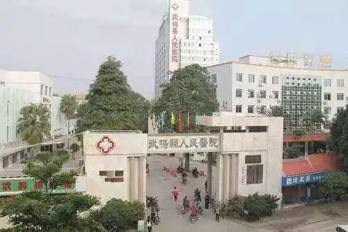 [广西] 广西医科大学附属武鸣医院，招聘医师、医技、药师等81人