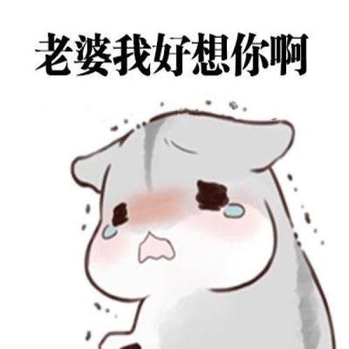 惹女朋友生气了怎么办？哄她开心的表情包来了，男生们快来收图