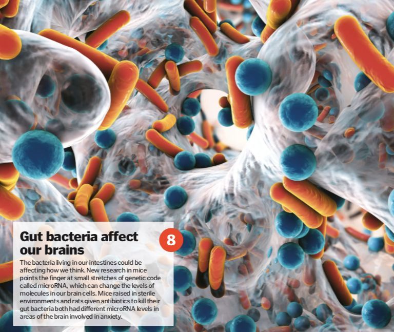中国的三大黑科技：液态金属有生命、沙漠加水变良田、蚊子在绝育