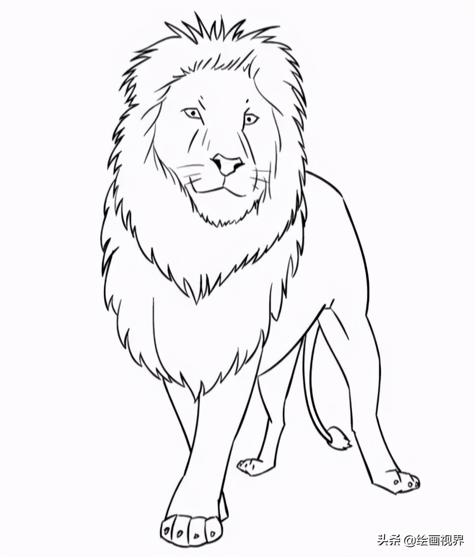 画狮子很难？从线稿到造型教你画，非常适合初学者临摹学习，收藏