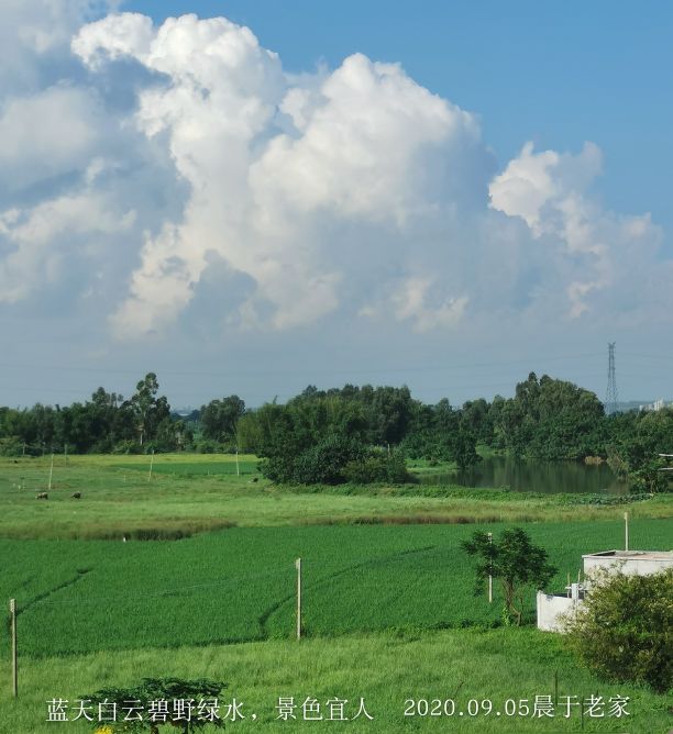 身处异地，心念故里