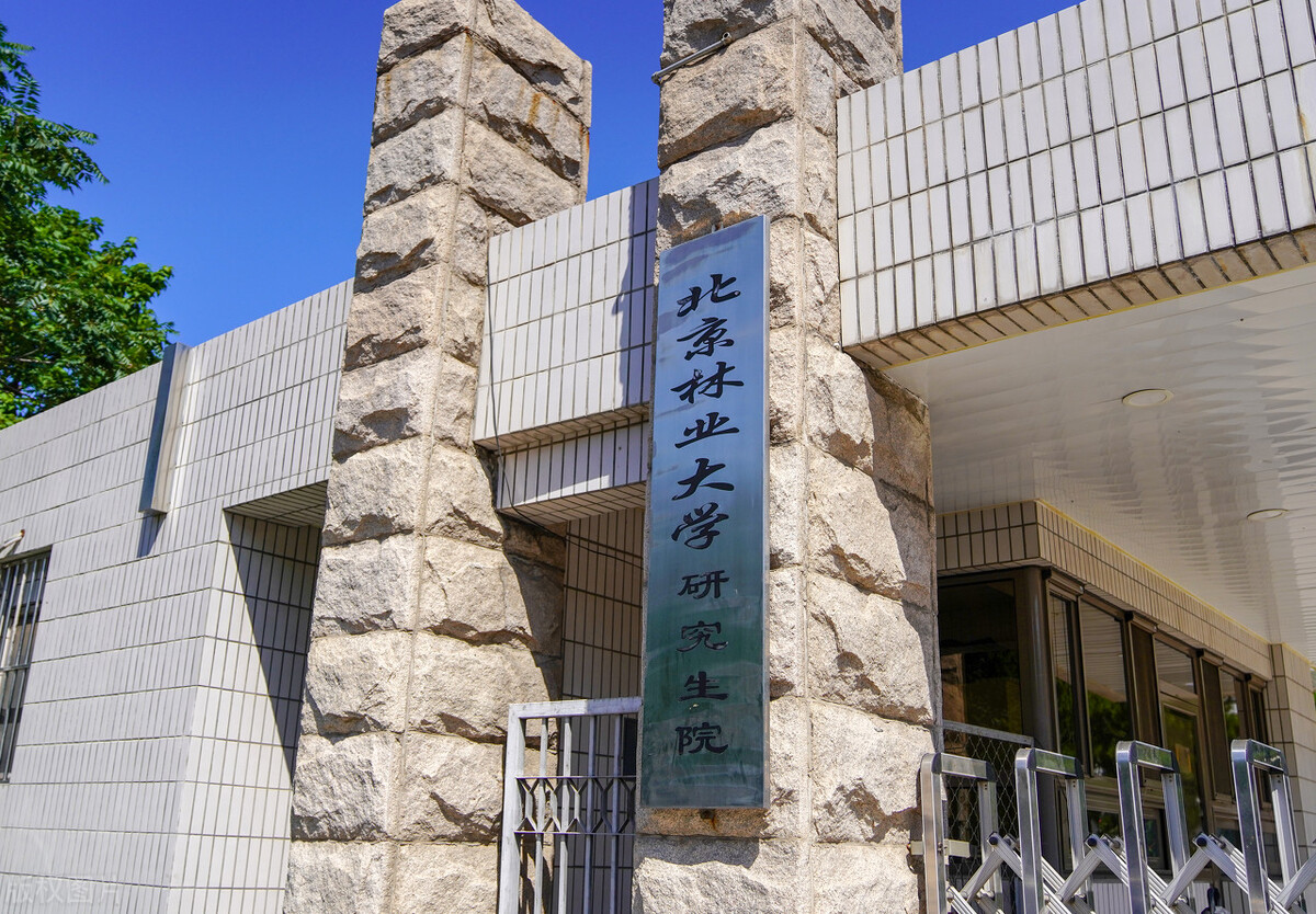 这5所大学的录取通知书非常精美，大学送给学生的礼物，心动了吗