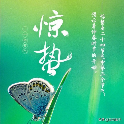 惊蛰 | 一雷惊鸣，万物始动；万卷春光，一缕明媚