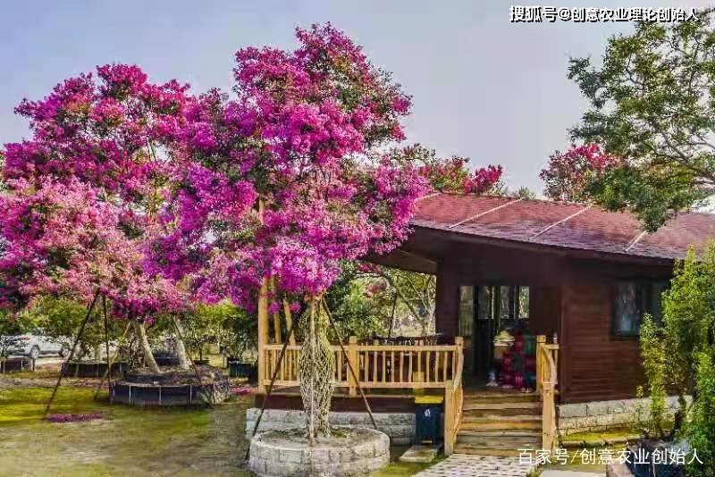 成都创意农业新场景教程（章继刚著）用花园理念重塑田园生活方式