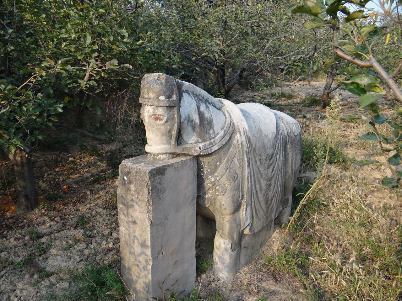 李光弼打一生肖唐代苏宗皇帝李恒建陵