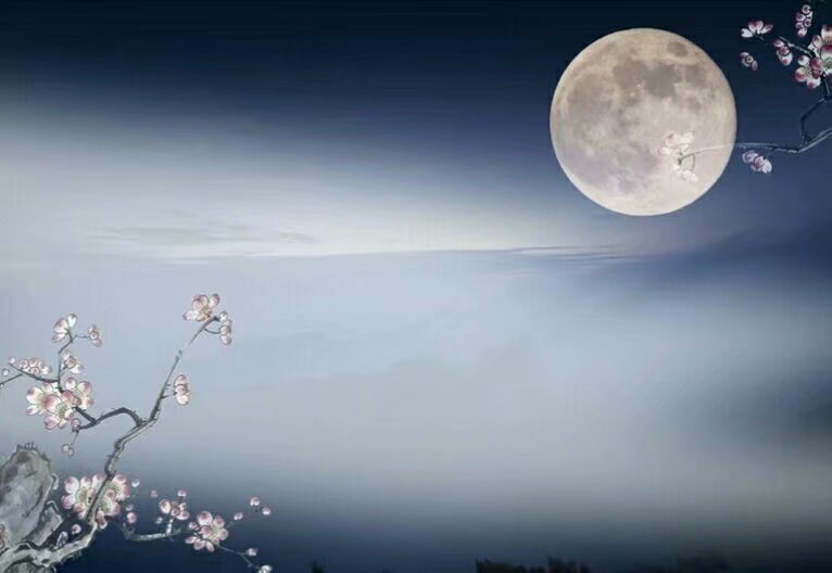 (文/西雨残月)