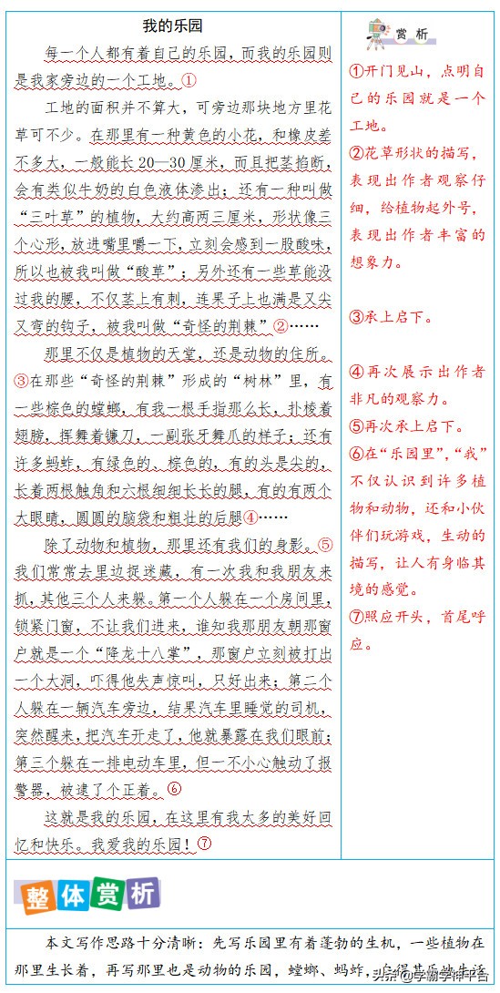 四年级语文同单元作文赏析，好词好句