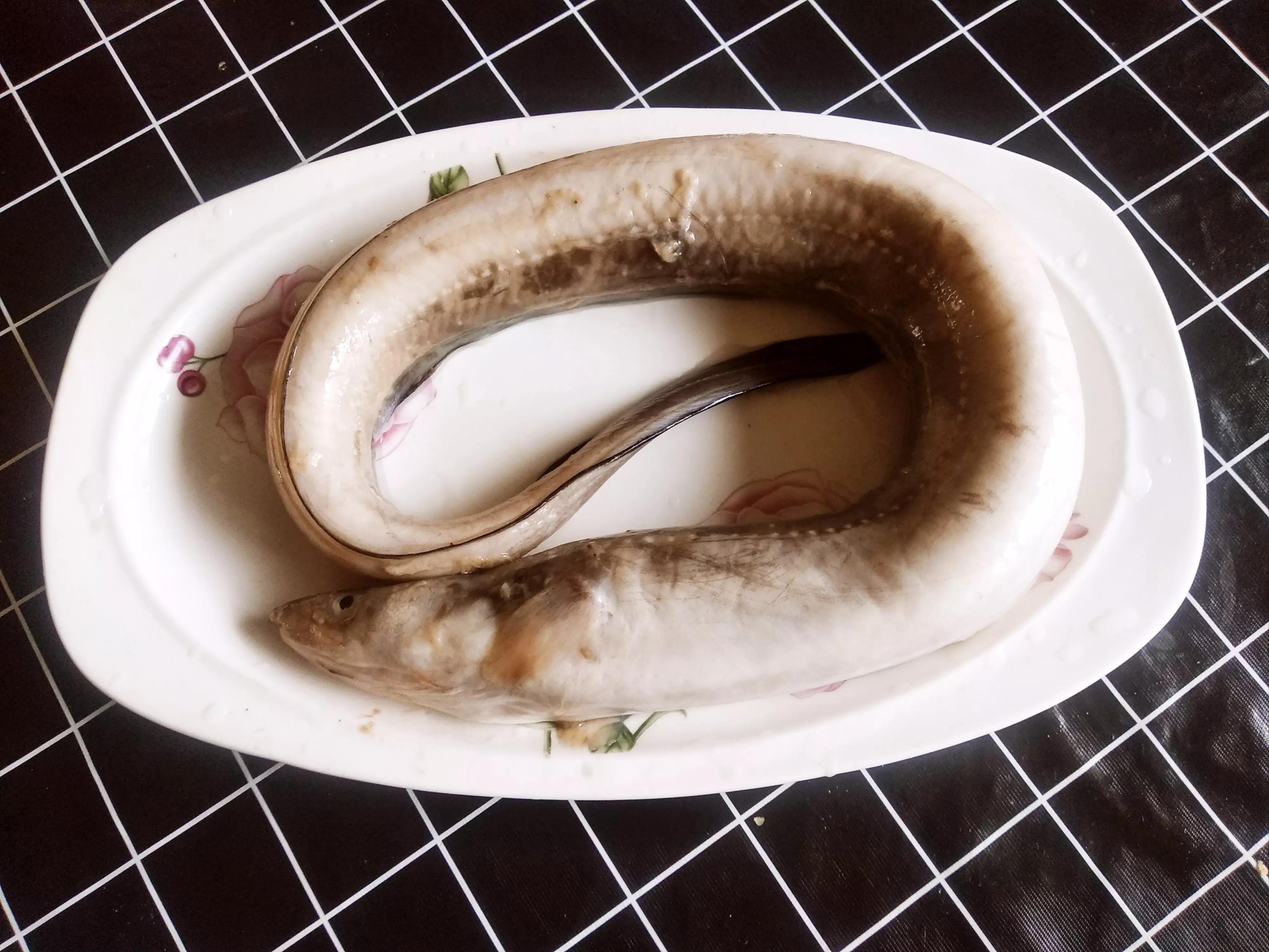 海鳗也叫"鳝鱼",有一种嘴上獠牙特别多的叫"狼牙鳝",狼牙鳝的味道很差