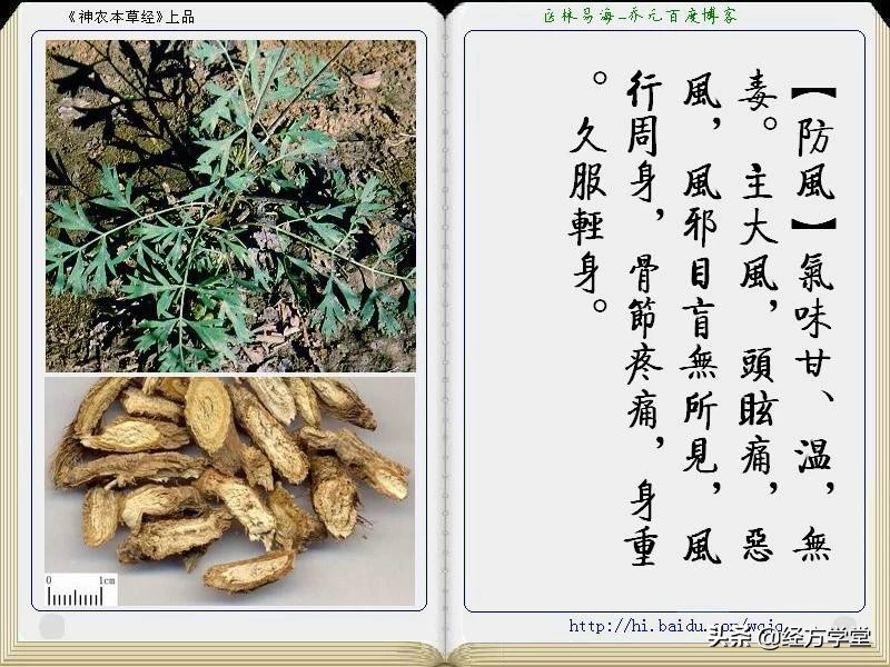 《神农本草经》全册图文解析 建议收藏