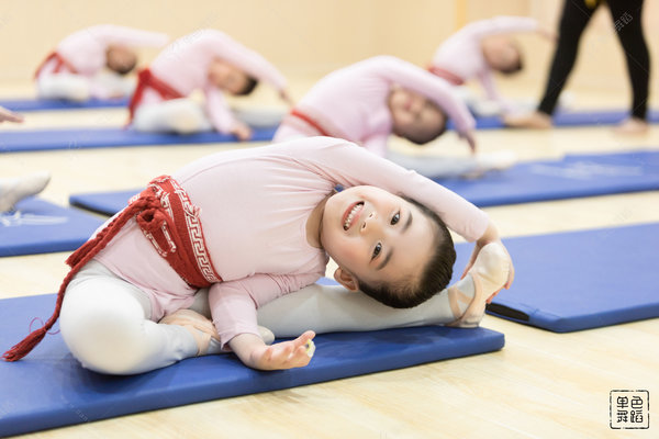 小孩考级考舞协还是北舞？北舞好还是舞协好
