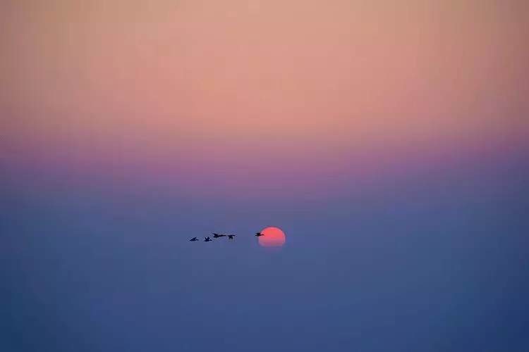 真正的朋友，始于志趣，合于性情，忠于人品