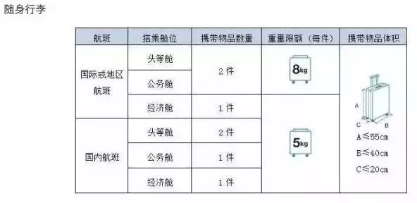 航空托运行李规定尺寸（航空托运行李件数规定）-第2张图片-昕阳网