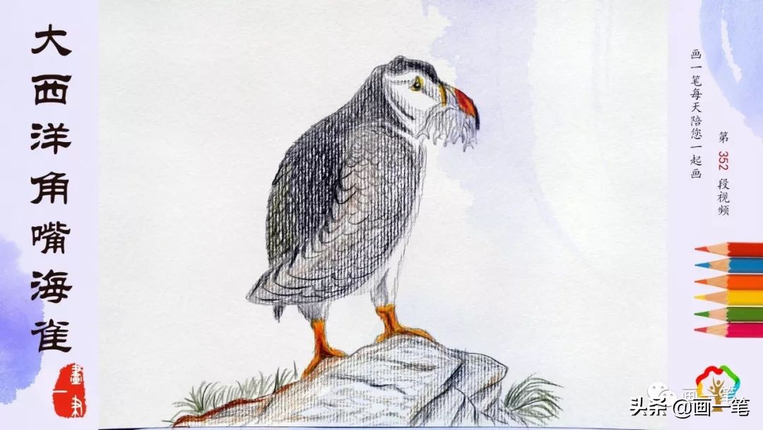 水彩画：凤凰于飞，翙翙（huì）其羽