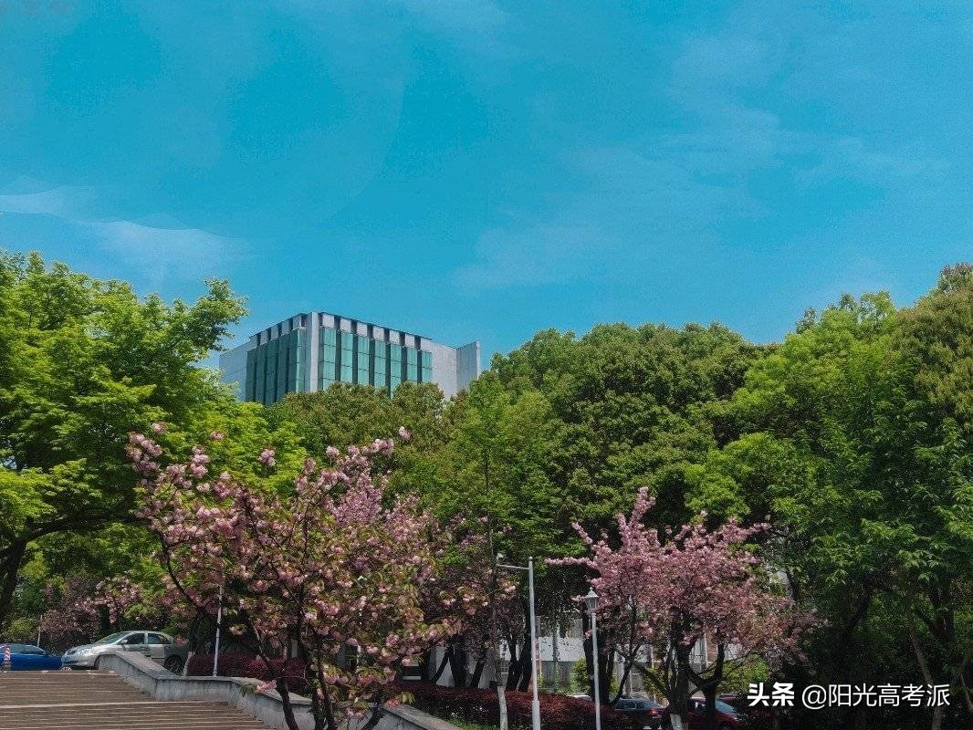 江蘇大學、揚州大學實力對比：一眼便知誰更強