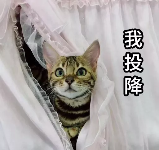 暗藏杀机！2020年的第一大雷 小心再小心