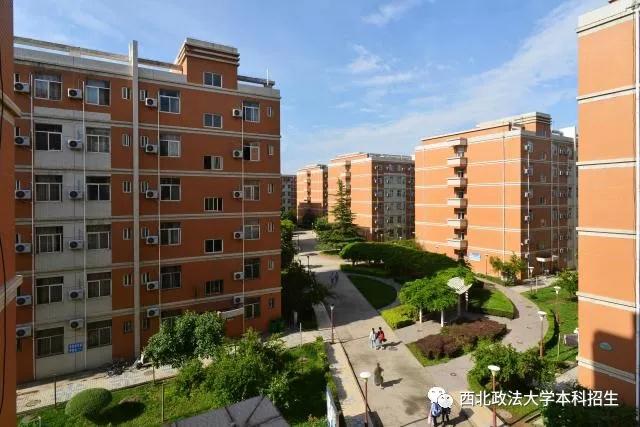 网红餐厅、空调宿舍、