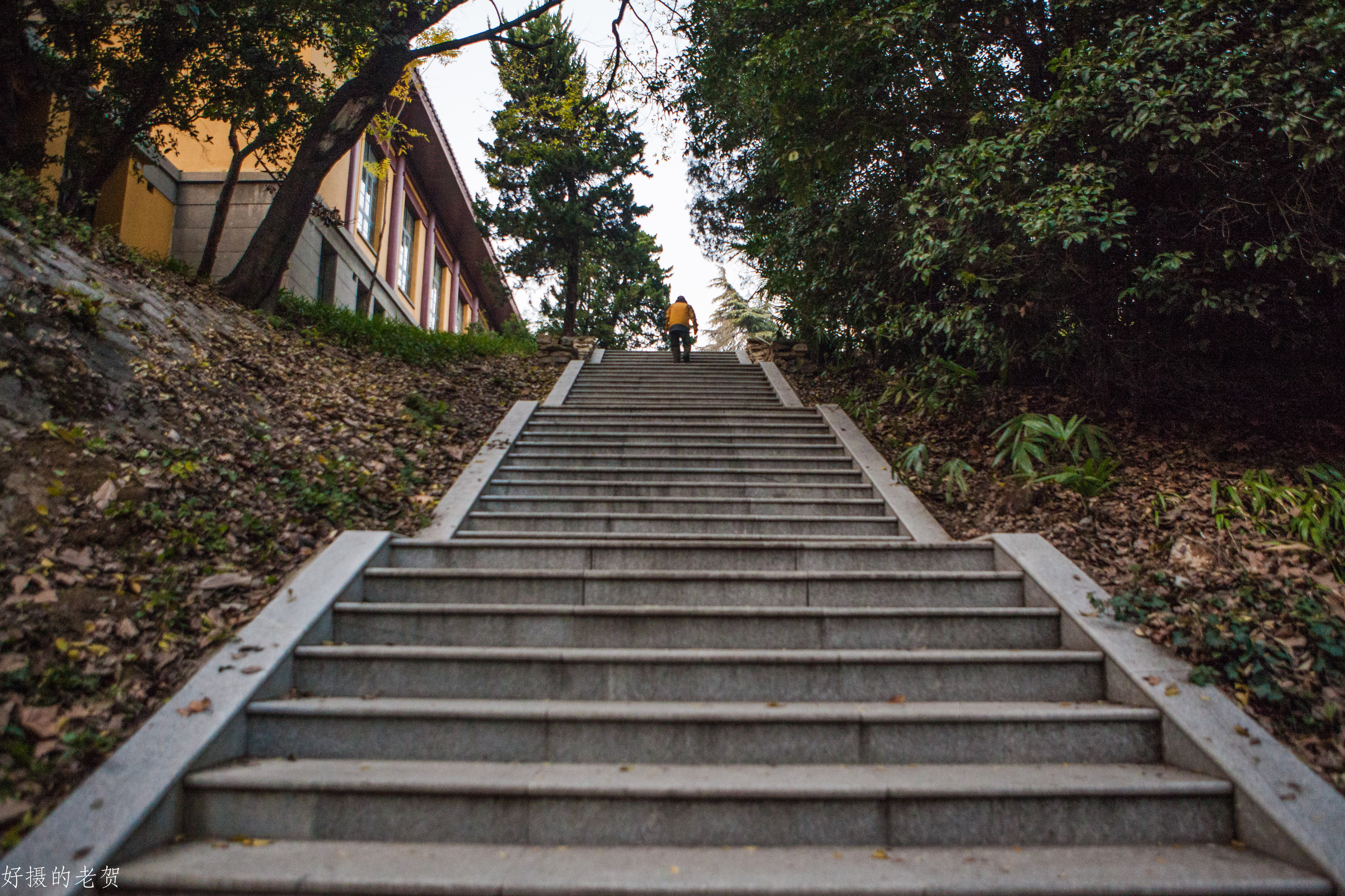 南京师大，曾是中国第一座女子大学，大文豪袁枚的随园所在地