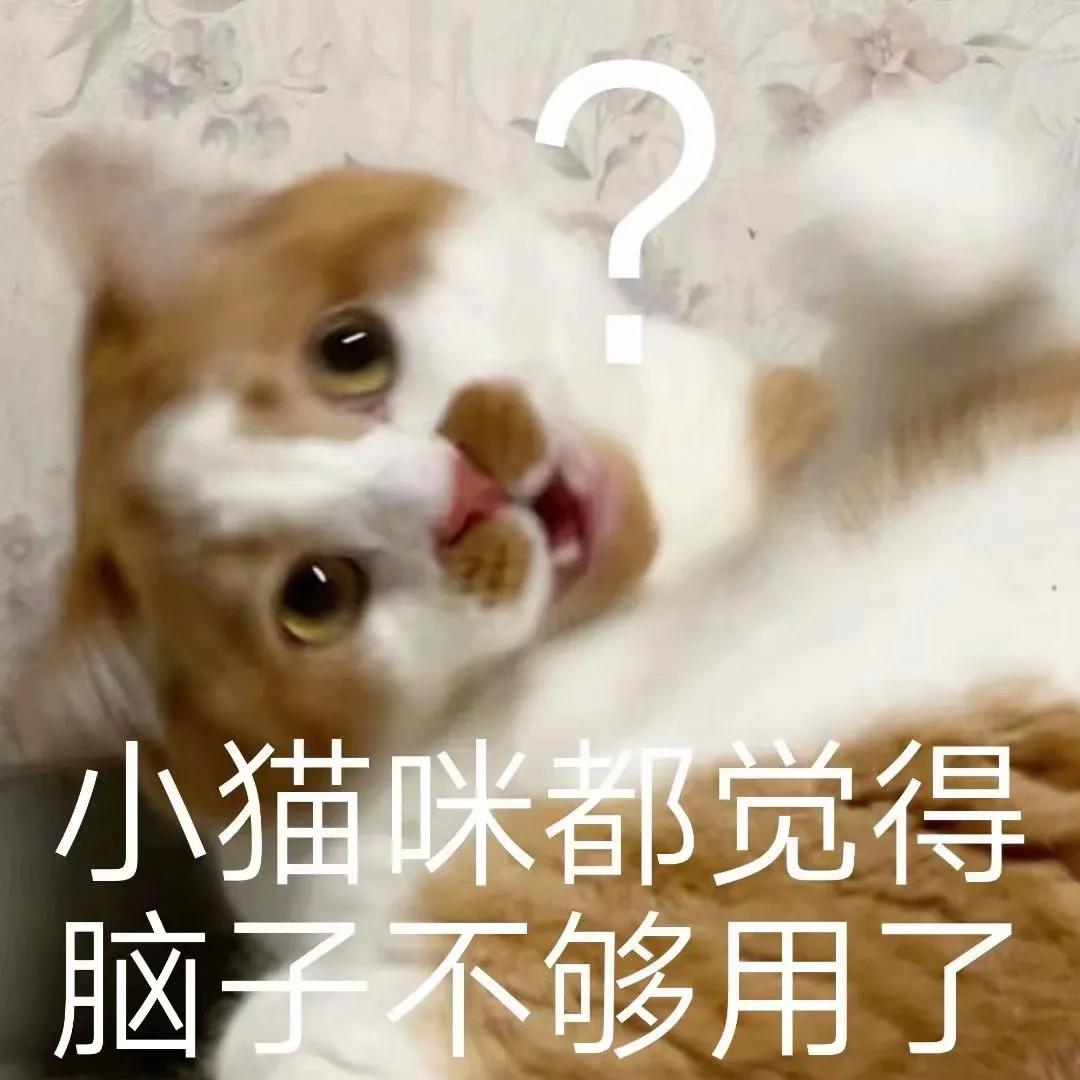 搞笑表情包：小猫咪都觉得脑子不够用了