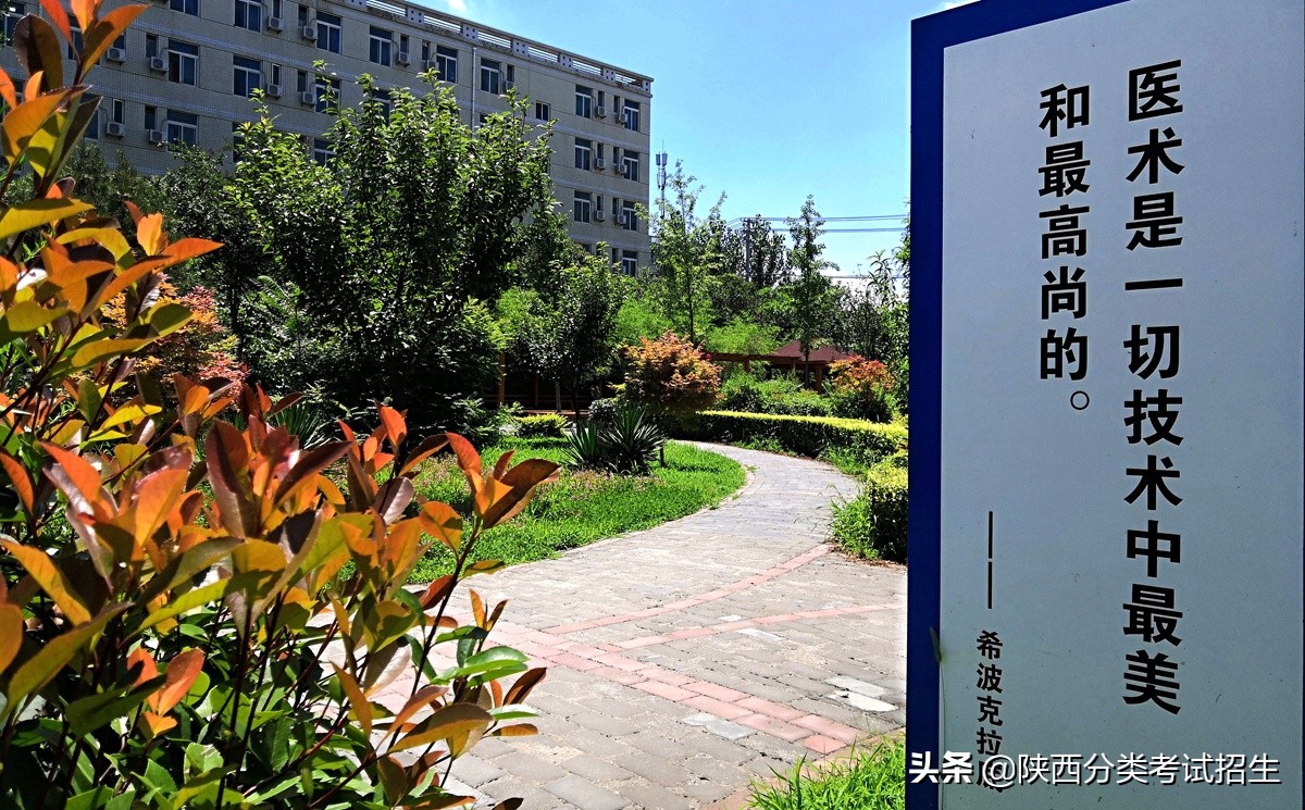 「招生章程」西安医学高等专科学校2020年综合评价考试招生章程