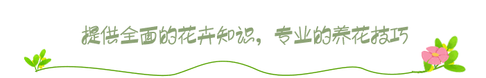 ǣţ(hua)ص㣨ɫǣţص㣩