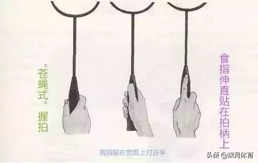 羽毛球怎么握拍（羽毛球握拍动作要领）