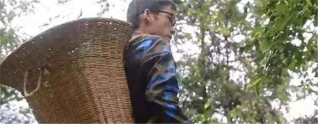 男孩713分上清华，却被酸“有啥用”：世道变坏，从否定努力开始