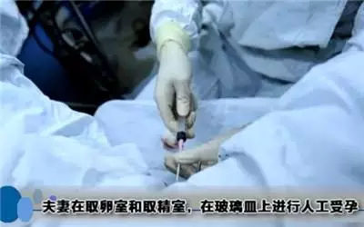 做试管婴儿全过程，看完真的心疼女性一万遍！