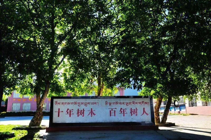 "十年树木,百年树人"是出自《管子·权修 第三》的名言