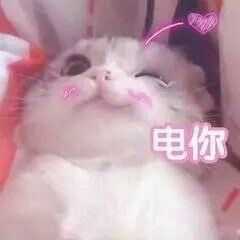 趣味巡演之路，闪耀菲梦之星，一起坚持快乐与梦想吧！