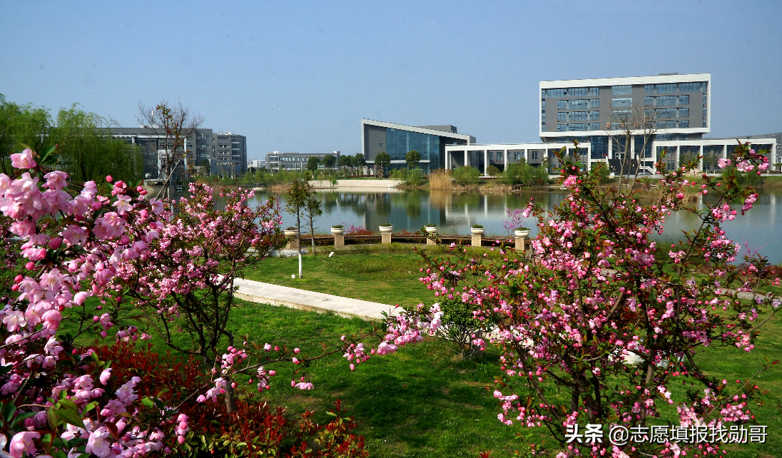 深度分析：本科麻醉学毕业生，为什么一直供不应求？