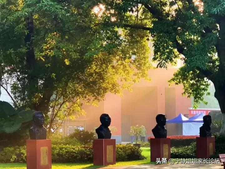初升高家长注意！这7所公办高中，值得你关注