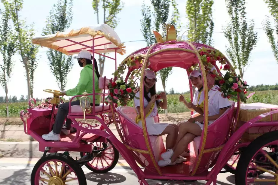 50多名高颜值大长腿美女汇聚巴彦淖尔，快来围观