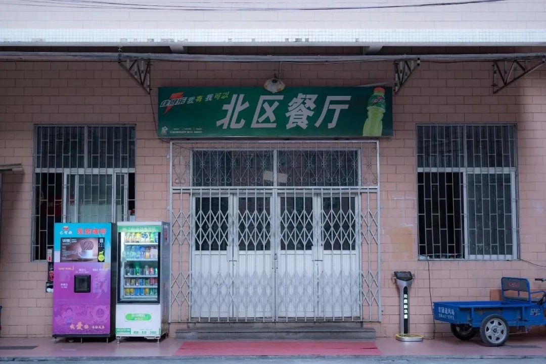 高职高考必看｜全面了解广东技术师范大学