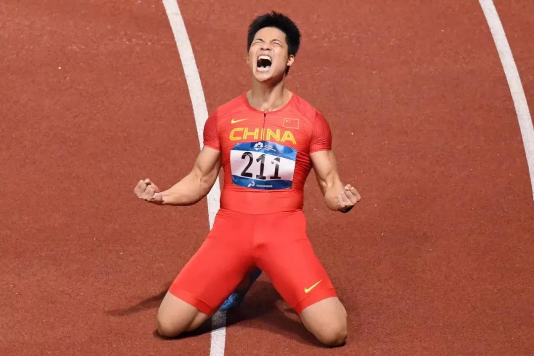 什么是983高校?苏炳添为何封神?