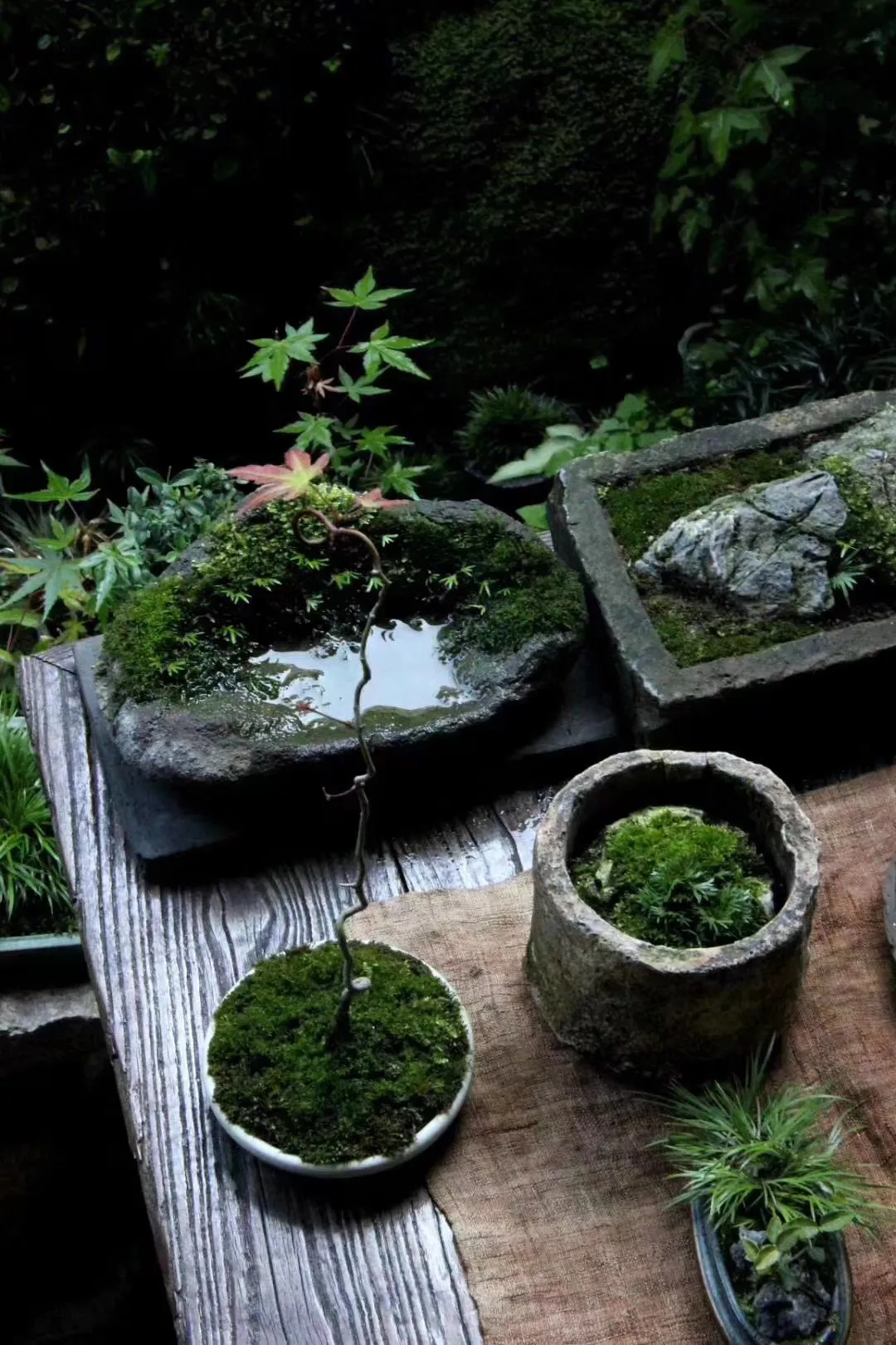 雨后，清晨