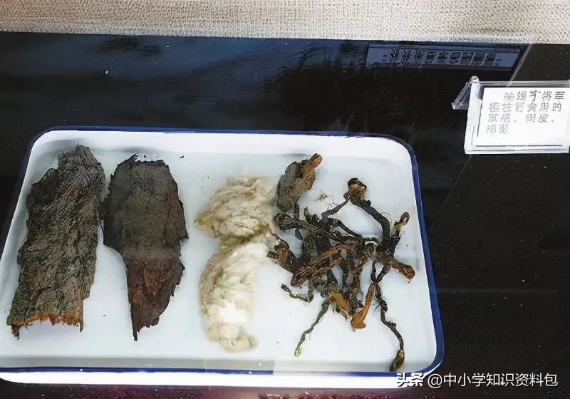 适合小学生讲的英雄故事（中小学生必读的红色英雄故事）