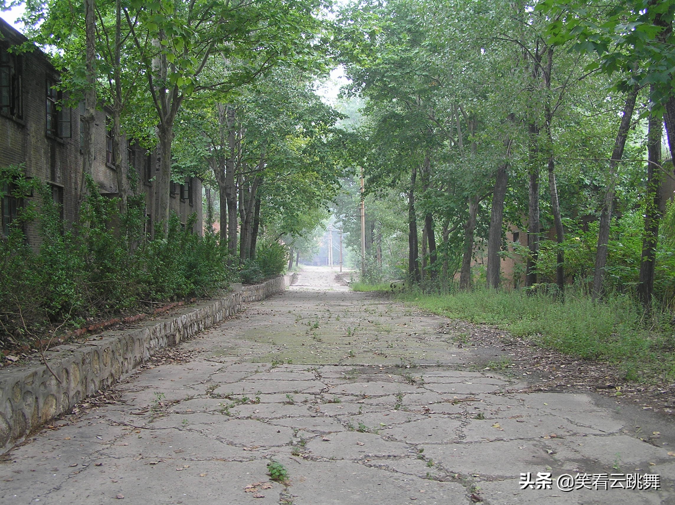 洛阳涧西区里哪有街头篮球(藏在渑池山沟的洛阳两大“军工大院”)