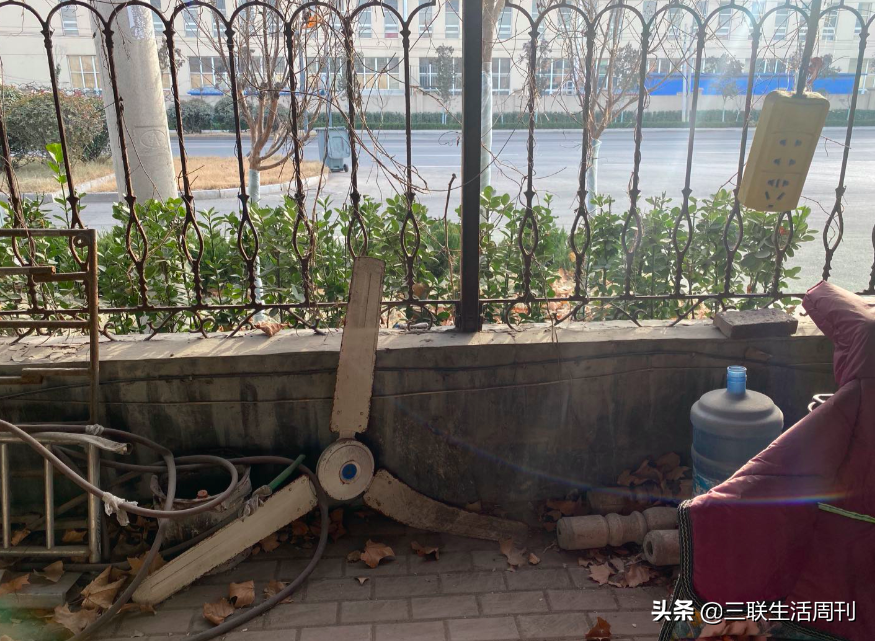 苏银霞：“刺死辱母者”背后的主角