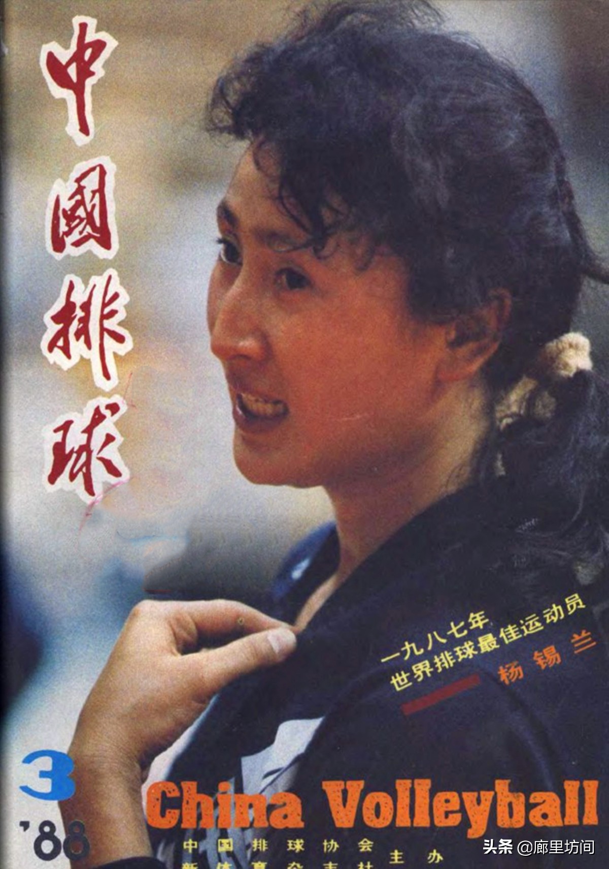 1981世界杯女排名单(老照片：1980年代中国女排“五连冠”队员风姿 第一美女当属杨希)